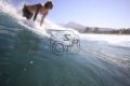Fotos de David Rojas -  Foto: Surf en Tenerife - 