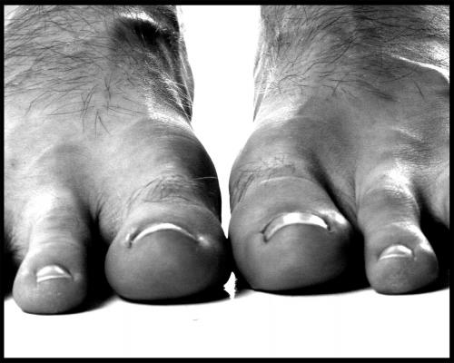 Fotografia de Mariona - Galeria Fotografica: Fragments - Foto: fragment