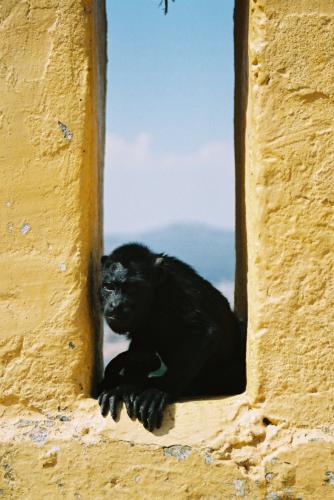 Fotografia de Mariona - Galeria Fotografica: Mexico - Foto: Chango