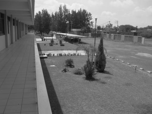 Fotografia de Ruben - Galeria Fotografica: Instituto Tecnologico de Ocotlan - Foto: TEC3