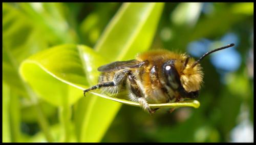 Fotografia de kontxa - Galeria Fotografica: Matalascaas 2007 - Foto: Descansando