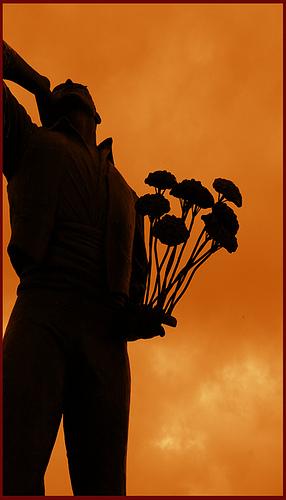 Fotografia de Arash - Galeria Fotografica: M�laga - Foto: Viznaga malague�a