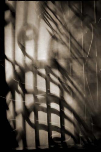 Fotografia de LIBRER�A REBEL - Galeria Fotografica: Interiores - Foto: 