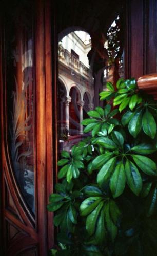 Fotografia de LIBRER�A REBEL - Galeria Fotografica: Interiores - Foto: 