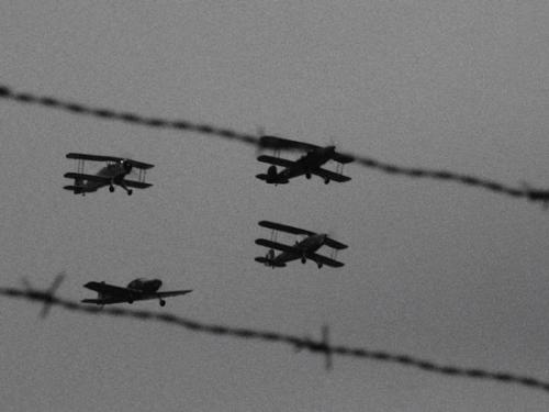 Fotografia de ice art - Galeria Fotografica: VARIAS - Foto: 1942