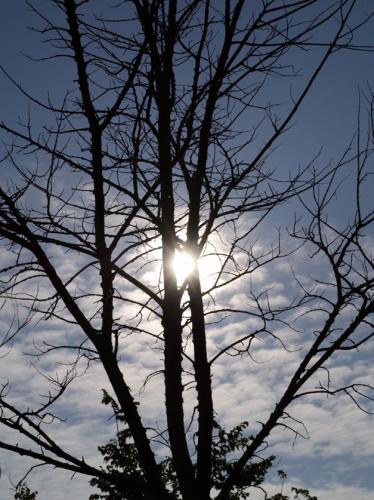 Fotografia de ice art - Galeria Fotografica: VARIAS - Foto: rozando el sol