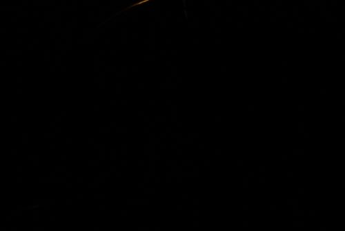 Fotografia de Fran - Galeria Fotografica: Esto es lo primero que intente - Foto: 