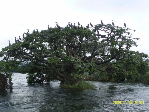 Fotografia de luna - Galeria Fotografica: mmm - Foto: nanciyaga