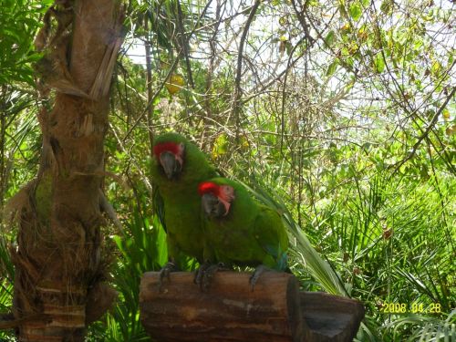 Fotografia de luna - Galeria Fotografica: mmm - Foto: 