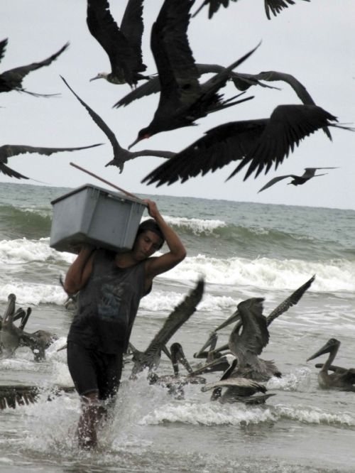 Fotografia de akelarte - Galeria Fotografica: akelarte - Foto: 