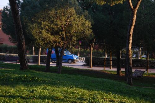 Fotografia de Fran - Galeria Fotografica: Esto es lo primero que intente - Foto: 