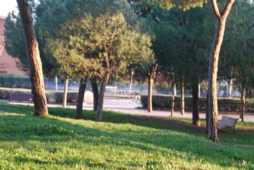 Fotografia de Fran - Galeria Fotografica: Esto es lo primero que intente - Foto: 