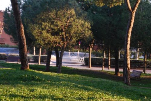 Fotografia de Fran - Galeria Fotografica: Esto es lo primero que intente - Foto: 