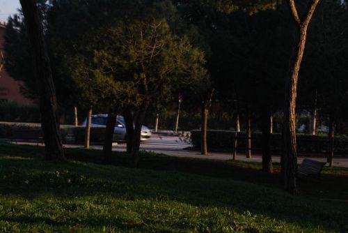 Fotografia de Fran - Galeria Fotografica: Esto es lo primero que intente - Foto: 