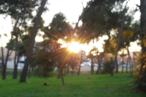 Fotografia de Fran - Galeria Fotografica: Esto es lo primero que intente - Foto: 