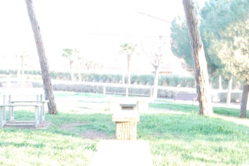 Fotografia de Fran - Galeria Fotografica: Esto es lo primero que intente - Foto: 