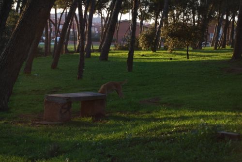 Fotografia de Fran - Galeria Fotografica: Esto es lo primero que intente - Foto: 