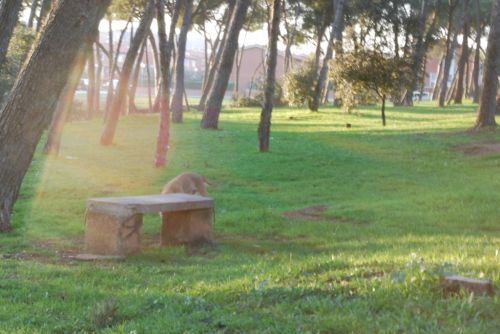 Fotografia de Fran - Galeria Fotografica: Esto es lo primero que intente - Foto: 