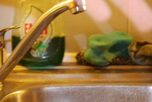 Fotografia de Fran - Galeria Fotografica: Esto es lo primero que intente - Foto: 