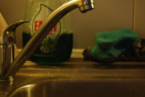 Fotografia de Fran - Galeria Fotografica: Esto es lo primero que intente - Foto: 