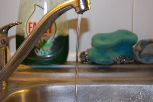 Fotografia de Fran - Galeria Fotografica: Esto es lo primero que intente - Foto: 