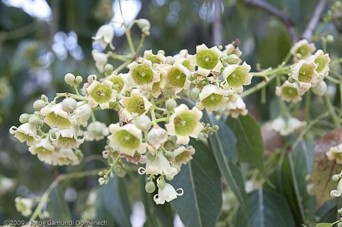 Fotografia de Jordi - Galeria Fotografica: Galera fotogrfica - Foto: 