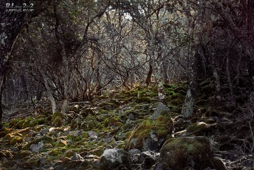 Fotografia de Rubn Lpez - Galeria Fotografica: Paisaje de La Mancha... - Foto: Subiendo al Mirador de Castilnegro.