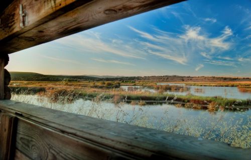 Fotografia de Rubn Lpez - Galeria Fotografica: Paisaje de La Mancha... - Foto: Peralbillo
