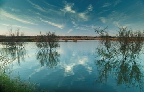 Fotografia de Rubn Lpez - Galeria Fotografica: Paisaje de La Mancha... - Foto: Peralbillo