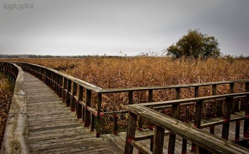 Fotografia de Rub�n L�pez - Galeria Fotografica: Paisaje de La Mancha... - Foto: Tablas de Daimiel