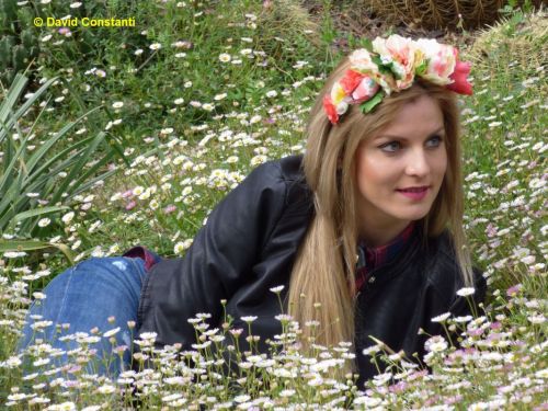 Fotografia de DCDaniel - Galeria Fotografica: Ella - Foto: 