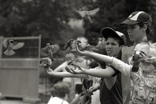 Fotografia de Sin Nombre - Galeria Fotografica: Coses Vistes - Foto: Menjar de la ma
