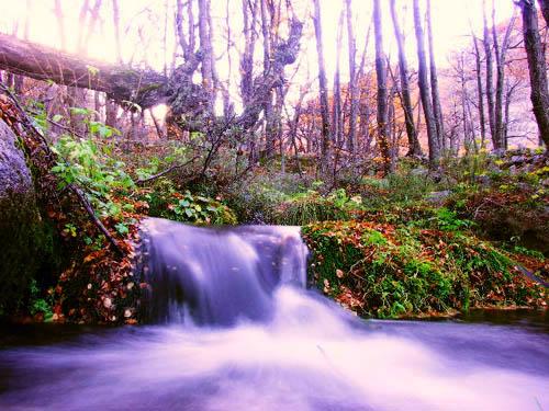 Fotografia de DANTE.SALDIVIA - Galeria Fotografica: patagonia - Foto: 