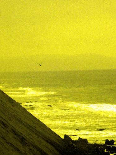 Fotografia de pavireom - Galeria Fotografica: Viaje a Macnona-Ica-Peru - Foto: 