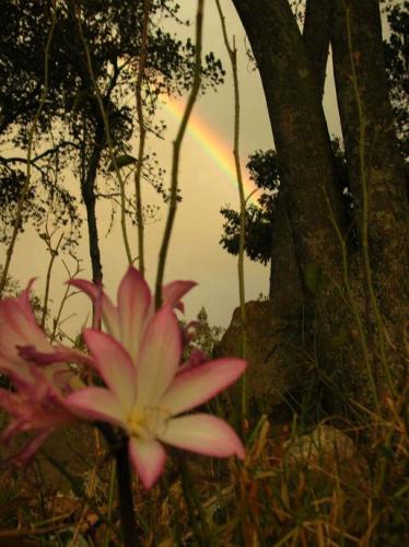 Fotografia de pavireom - Galeria Fotografica: Viaje por Huaraz - Foto: 