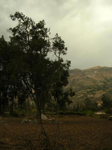 Fotografia de pavireom - Galeria Fotografica: Viaje por Huaraz - Foto: 