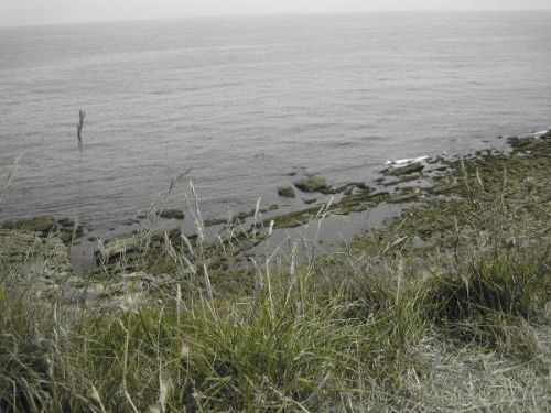 Fotografia de miry92 - Galeria Fotografica: paisajes/naturaleza - Foto: 