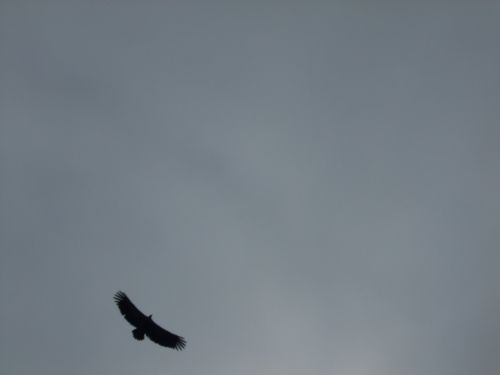 Fotografia de miry92 - Galeria Fotografica: paisajes/naturaleza - Foto: 