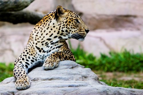 Fotografia de Louse Anne - Galeria Fotografica: Libertad - Foto: 