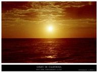 Fotografia de O B Y - Galeria Fotografica: I M A G E N E S - Foto: LA    P A Z