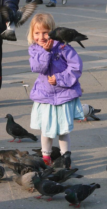 Fotografia de Jose Carlos - Galeria Fotografica: Venecia 2 - Foto: 