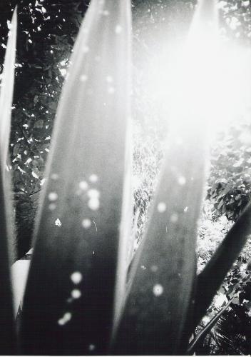 Fotografia de Sin Nombre - Galeria Fotografica: caLLEs de una ciUDad - Foto: piCOs de SOL