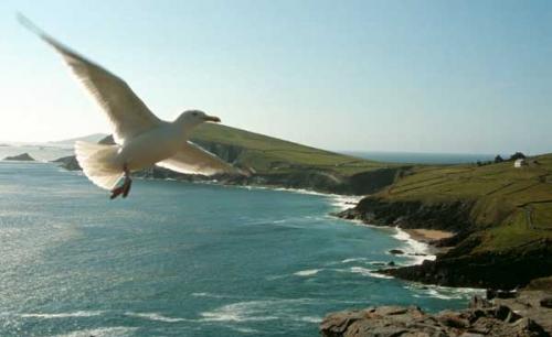 Fotografia de Miguel y sus fotografas - Galeria Fotografica: Fotografa Total - Foto: Aire