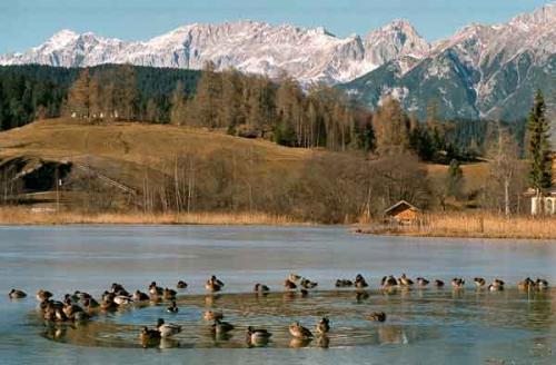 Fotografia de Miguel y sus fotografas - Galeria Fotografica: Fotografa Total - Foto: Lago de Seefeld