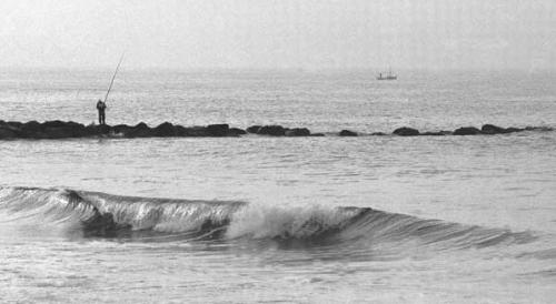 Fotografia de Miguel y sus fotografas - Galeria Fotografica: Fotografa Total - Foto: Pescando una Ola