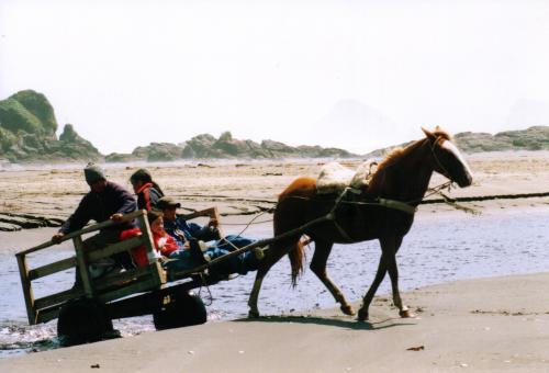 Fotografia de Hector Yaez Linnebrink - Galeria Fotografica: paisajes y gentes de chiloe - Foto: un auto familiar de Huentemo