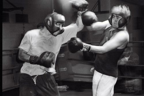 Fotografia de FOTOGRAFA - Galeria Fotografica: Fighting Spirit - Foto: Combate