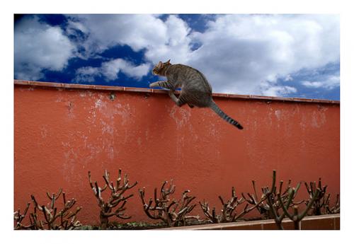 Fotografia de Nira - Galeria Fotografica: Urbanas,rurales , arquitectura - Foto: jump