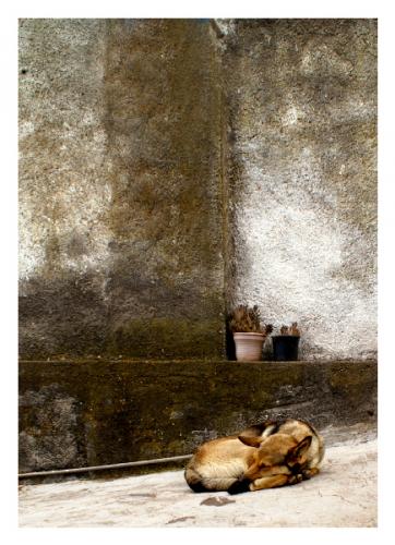 Fotografia de Nira - Galeria Fotografica: Urbanas,rurales , arquitectura - Foto: ZzzZzzz