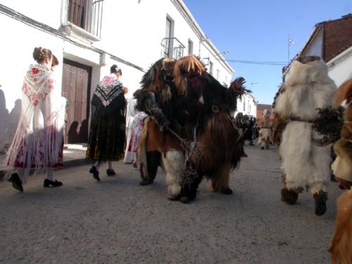 Fotografia de Imagen Dirk Borms - Galeria Fotografica: fiestas en el Norte de Extremadura - Foto: Carantoas